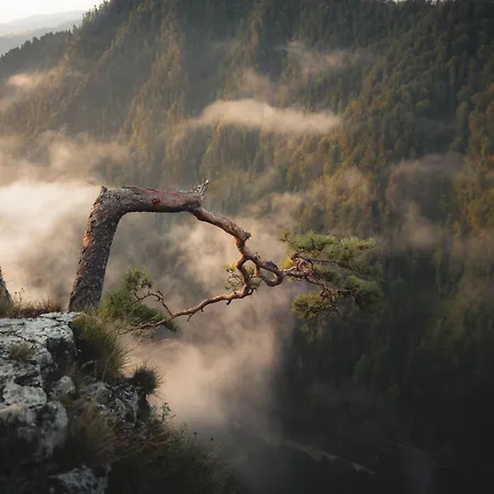 Cichosza W Pieninach Tatil Evi Grywald